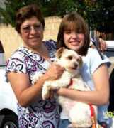 adoptamascota.com Lulix