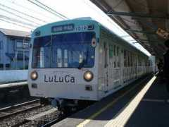 Luluca