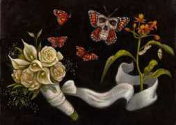 earthisland.org Lumart