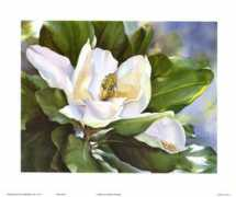 litscapeart.com Lumina