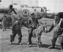 450thbg.com Lumovich