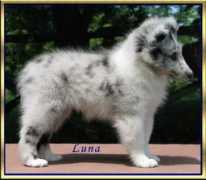 Lunab