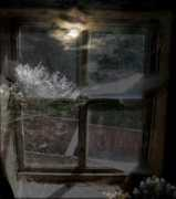 Lunad