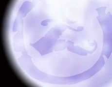 lunariae.com Lunal