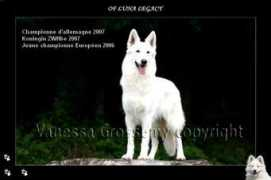 berger-blanc-suisse.be Lunalee