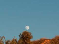 Lunallena