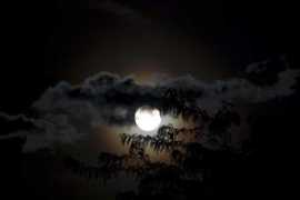 Lunca