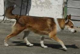 Lundes