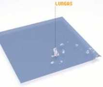 nona.net Lungas