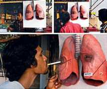Lungs
