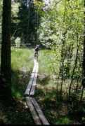Lunsen
