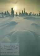 sunna.info Lunta