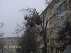 domnuleprimar.ro Luparu