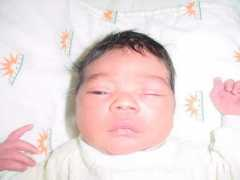 Lushon