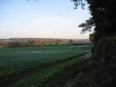 geograph.org.uk Luston