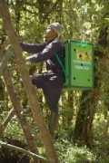 planetmole.org Lutung