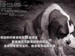 chenchen.in Lyeo