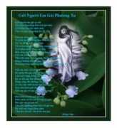 ptgdtdusa.com Lyhuong