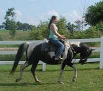 knrarabians.com Lynara