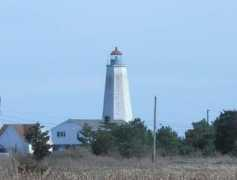 Lynde