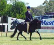 cyberhorse.net.au Lyndella