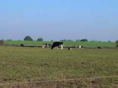 geograph.org.uk Lyneal