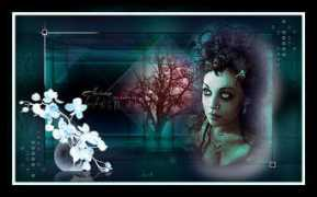 tamercrea.com Lynneh