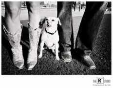 blog.ther2studio.com Lynnzie