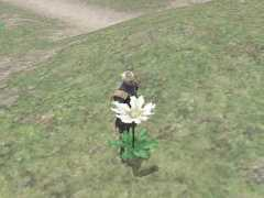 Lyron