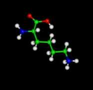 worldofmolecules.com Lysine