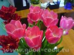 forum.good-cook.ru Lytina