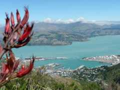 panoramio.com Lyttelton