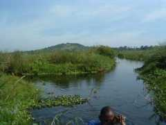 dpeck.info Mabamba