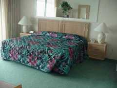 bluemoonrentals.com Mabed