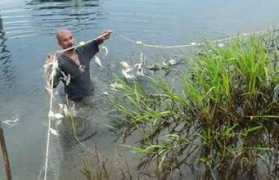 bharian.com.my Mabuk