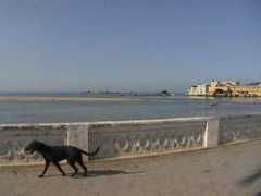 viagensmaneiras.com Macae