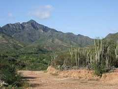 Macanao