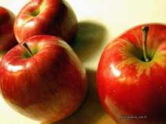 Macar