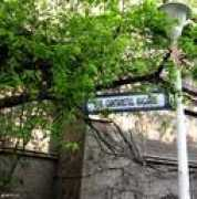 gramo.ro Macarie