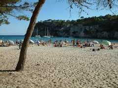 mreckermann.de Maccarella