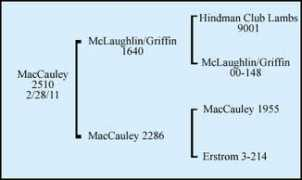 Maccauley