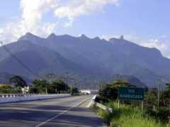 Macela
