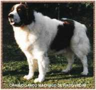 murtois.com Machaco