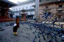 nepaltouroperator.com Machhendra