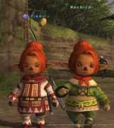 ffxi.allakhazam.com Machichi