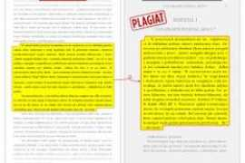 tagi.newsweek.pl Macleana