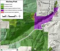 Macleay