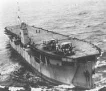 Macoma