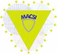sam.math.ethz.ch Macsi