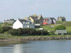 Madadh
